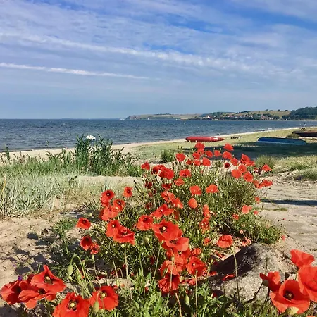 Apartman Haus Concordia 2 Wellenreiter