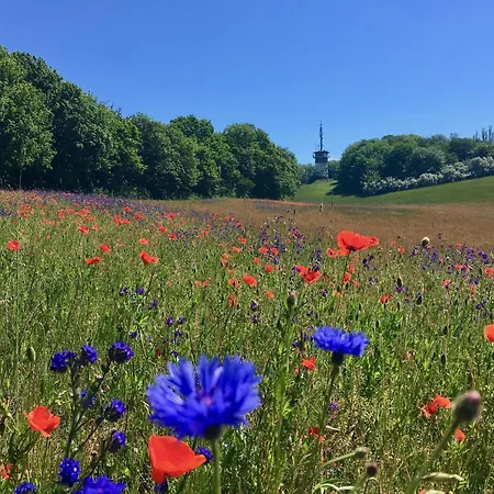 Haus Concordia 2 Wellenreiter * Thiessow