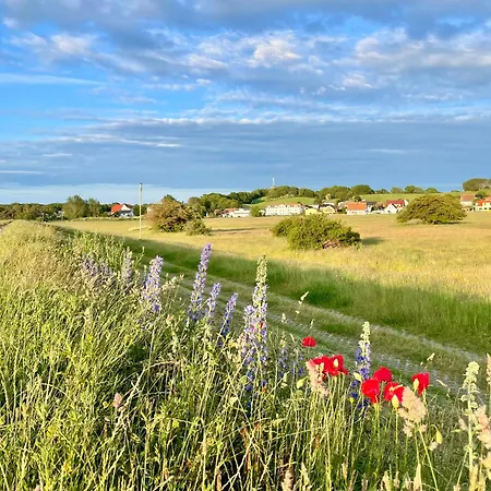 Haus Concordia 2 Wellenreiter