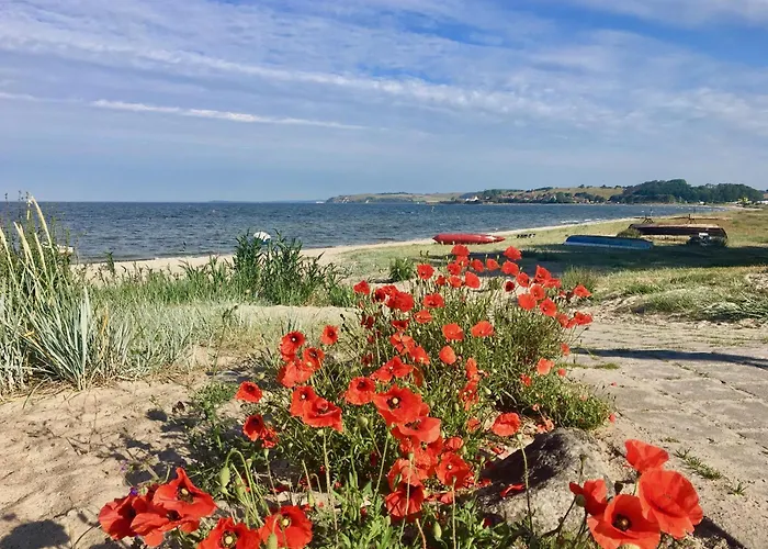 Apartamento Haus Concordia 2 Wellenreiter