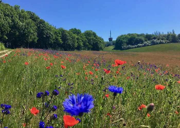 Haus Concordia 2 Wellenreiter * Thiessow